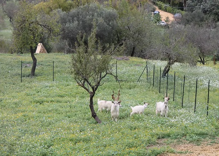 Bed & Breakfast Nettuno 4*