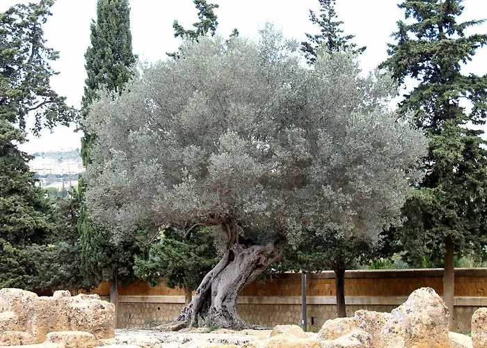 Nettuno 住宿加早餐酒店