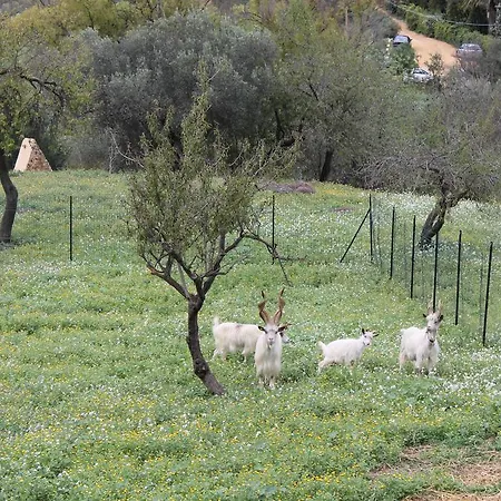 Bed & Breakfast Nettuno 3*